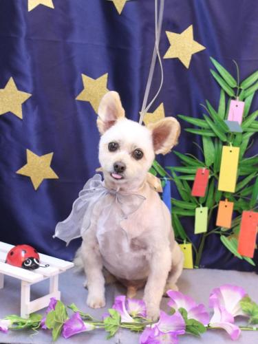 20230715ポンタくん